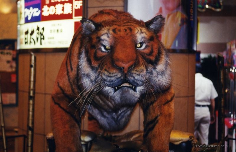 Sega center fake tiger
